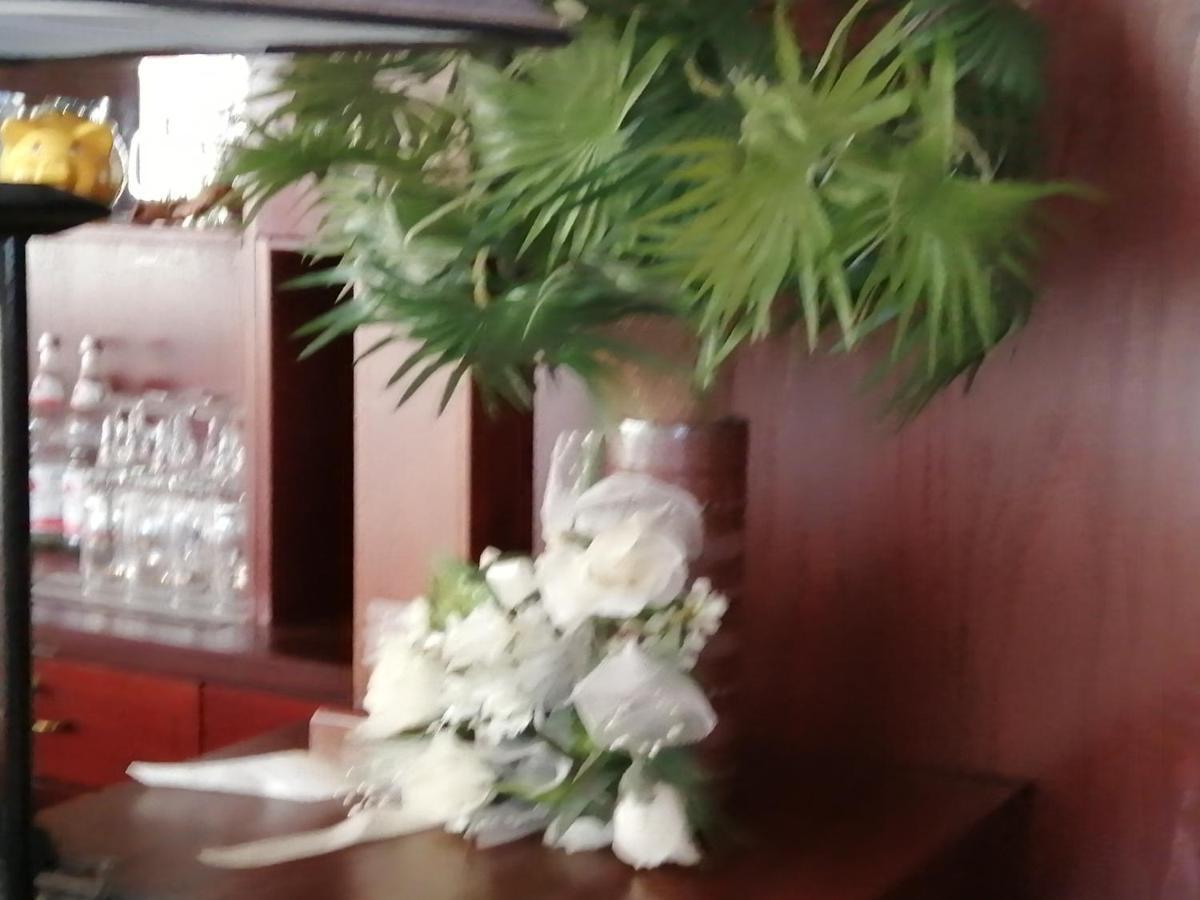 Edit Pension Rossau エクステリア 写真